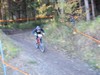 Michi05.jpg