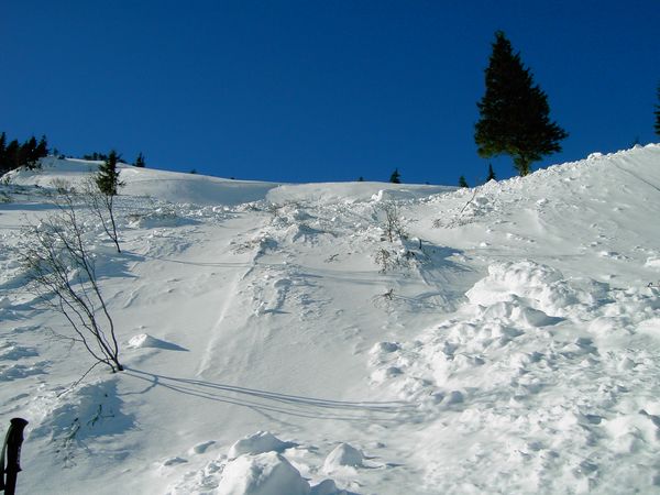 PICT1752.JPG