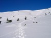 PICT1753.JPG