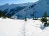 PICT1756.JPG
