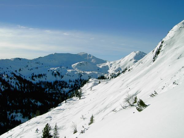 PICT1762.JPG
